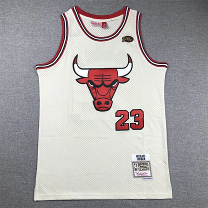 Chicago Bulls Micheal Jordon