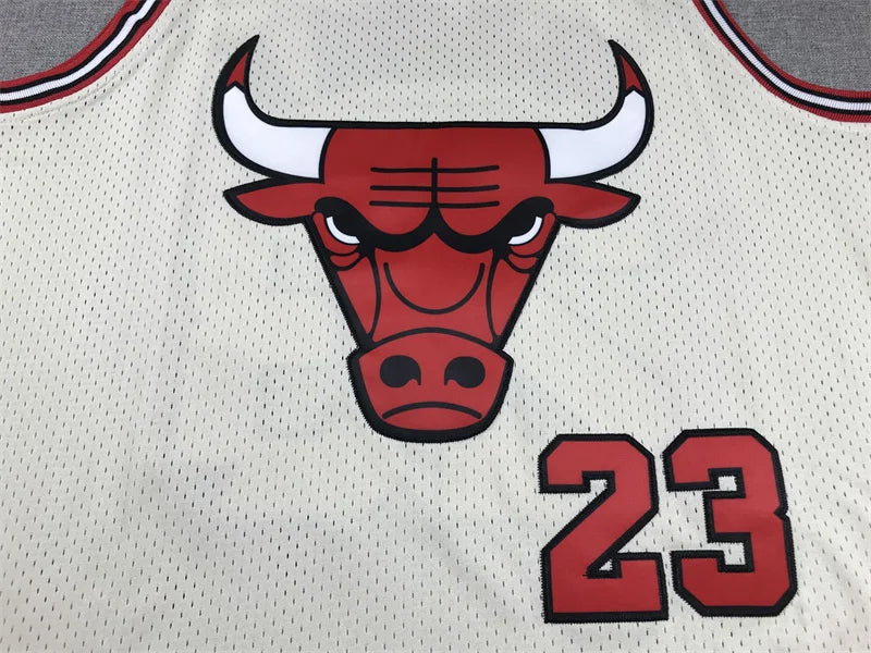 Chicago Bulls Micheal Jordon