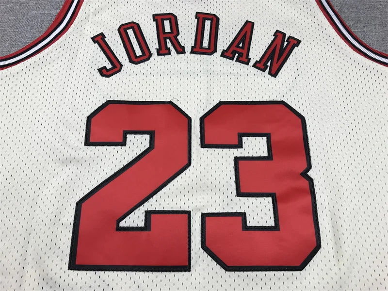 Chicago Bulls Micheal Jordon